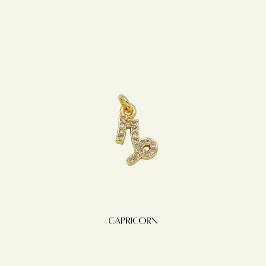 Personalized Zodiac Bracelet - Capricorn